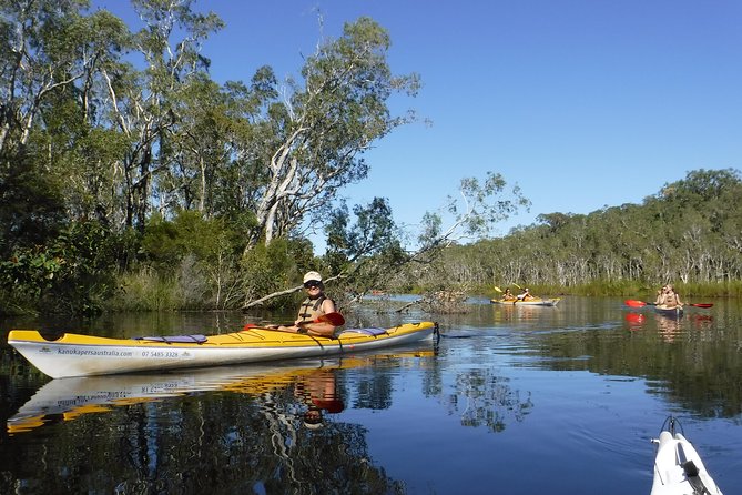 Self-Guided Noosa Everglades Kayak Tour - Key things to know before you paddle