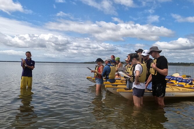 Self-Guided Noosa Everglades Kayak Tour - Wildlife and what to watch for while you paddle