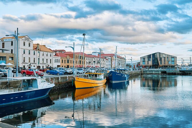 Shore Excursion-Hobart Wanderer - Packing and comfort tips for Mount Wellington plus Bonorong