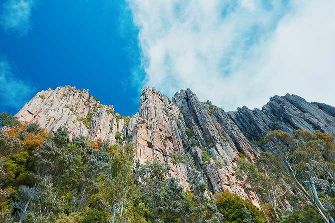 Shore Excursion-Hobart Wanderer - Small-group setup, Tasports pickup, and what you really pay for
