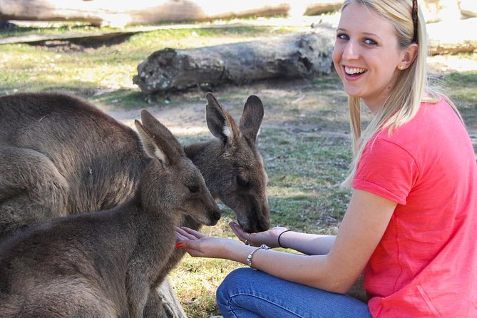 Shore Excursion Melbourne, Sights, Kangaroos, Koalas Lunch & Wine - Why this Mornington Peninsula day works for cruise visitors