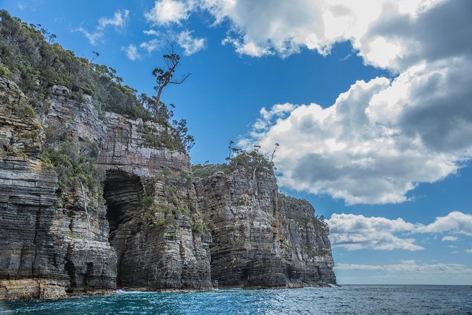 Shore Excursion - Port Arthur - Tasman Peninsula - Key Highlights You’ll Actually Feel During the Day