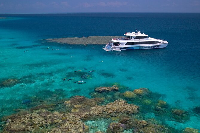 Silversonic Outer Great Barrier Reef Cruise from Port Douglas - Agincourt Reef, the Outer-Edge Reason This Cruise Feels Different