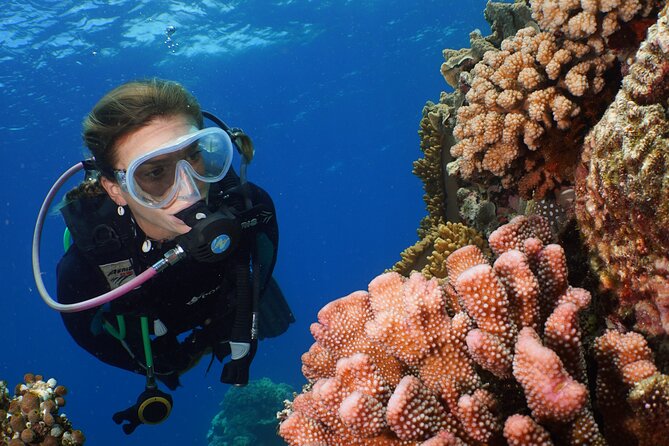 Silversonic Outer Great Barrier Reef Cruise from Port Douglas - Stop 1: Your Quick Start Off the Boat, Then Into the Water