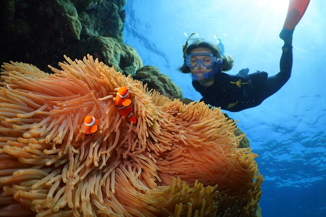 Silversonic Outer Great Barrier Reef Cruise from Port Douglas - Your Gear and Your Options: Snorkel, Intro Scuba, or Certified Sessions