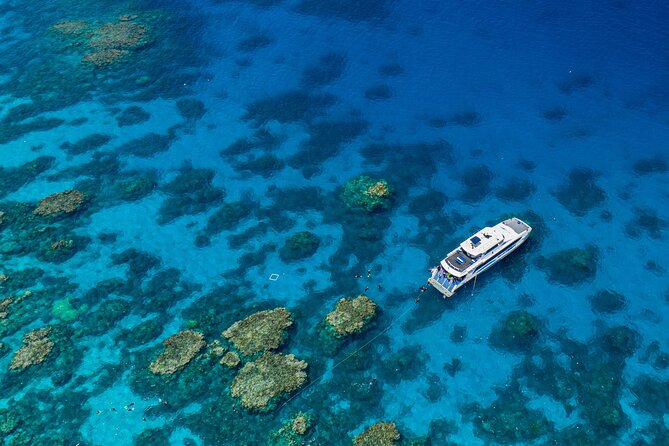 Silverswift Dive and Snorkel Great Barrier Reef Cruise - Key things to know before you go