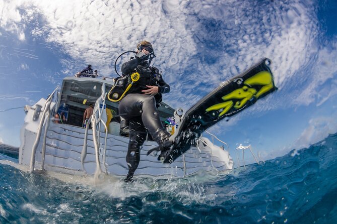 Silverswift Dive and Snorkel Great Barrier Reef Cruise - What to Pack, What to Skip, and the Cold-Water Reality