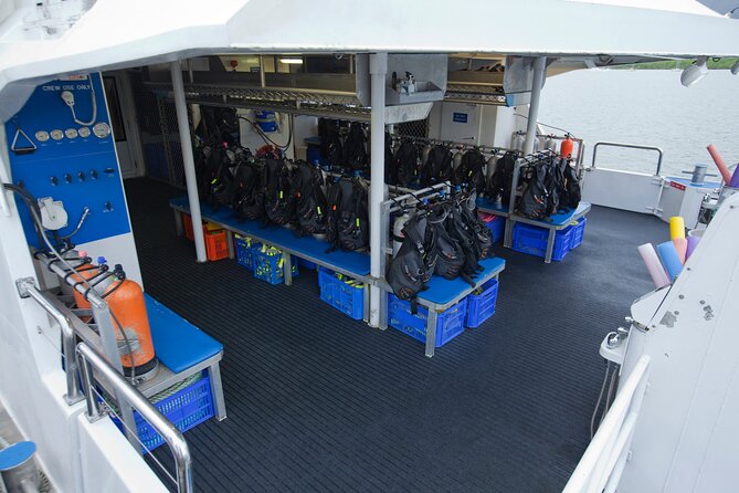 Silverswift Dive and Snorkel Great Barrier Reef Cruise - Price and Value: Is $212.30 Worth It?
