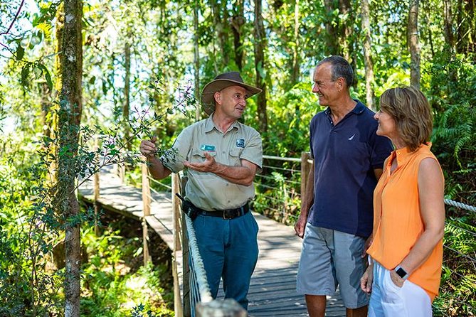 Skip the Line Kuranda Scenic Railway Gold Class and Skyrail Rainforest Cableway - Skyrail Rainforest Cableway: Treetop Views and Two Lookout Breaks