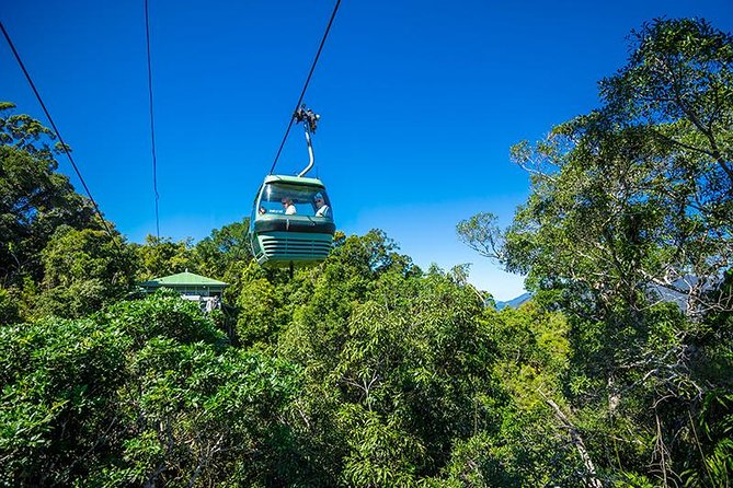 Skyrail Rainforest Cableway Day Trip from Cairns - Key things to know before you go