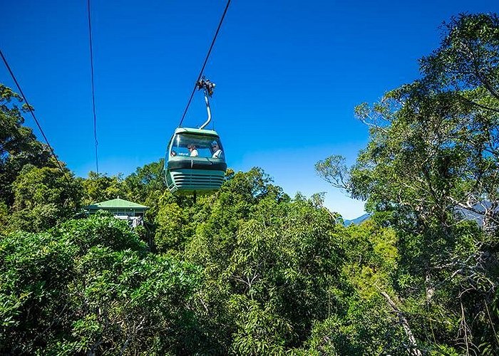 Skyrail Rainforest Cableway Day Trip from Cairns - Kuranda Village free time: markets, food, and shopping strategy