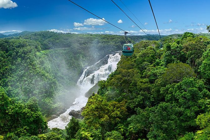 Skyrail Rainforest Cableway Day Trip from Port Douglas - Skyrail Rainforest Cableway from Port Douglas: the treetop wow-factor