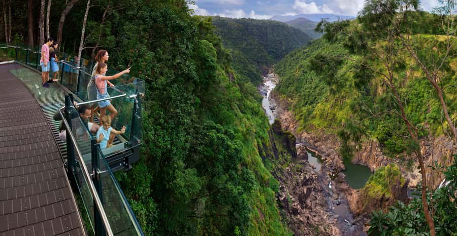 Skyrail Rainforest Cableway Round-Trip Experience - Getting to Smithfield Terminal without wasting time