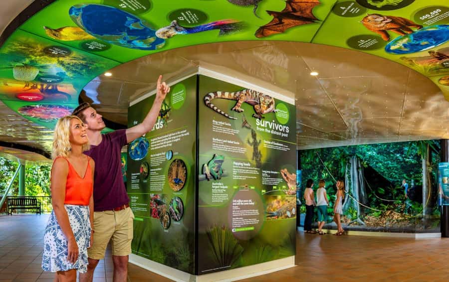 Skyrail Rainforest Cableway Round-Trip Experience - Inside the 6-person gondola ride over the rainforest canopy