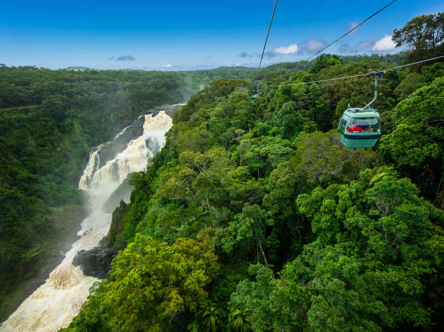 Skyrail Rainforest Cableway Round-Trip Experience - Who this Skyrail experience is best for (and who should think twice)