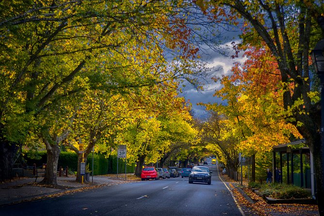 Small Group Adelaide Hills and Hahndorf Hideaway Tour from Adelaide - What the Best Guides Do During the Day