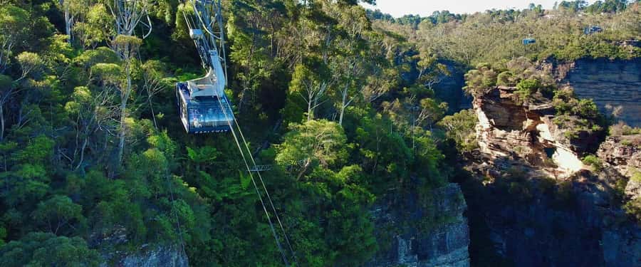 Small Group Blue Mountains, Wildlife & Scenic World Day Tour - Scenic World Unlimited Pass: Skyway, Cableway, Railway, Walkway
