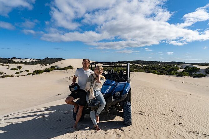 Small-Group Buggy Tour at Little Sahara with Guide - Little Sahara first stop: 500-year gum forests, Eleanor River, and koalas