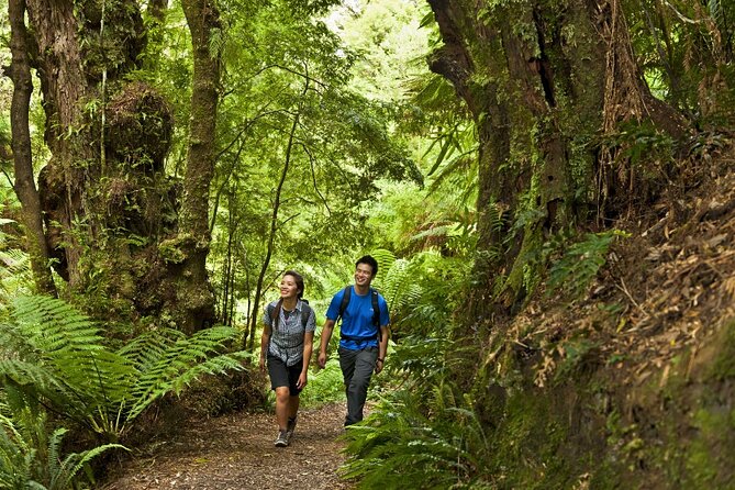 Small-Group Great Ocean Road Classic Day Tour from Melbourne - Gibson Steps and Loch Ard Gorge: beach level views and shipwreck storytelling
