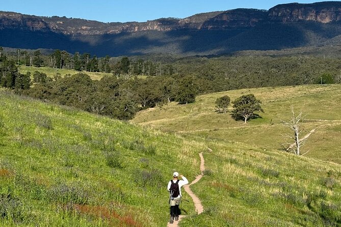 Small Group Hunter Valley Wine Tour + Lunch, Gin & Choc ex Sydney - What you really get for the price (about $161.38): value comes from the full package