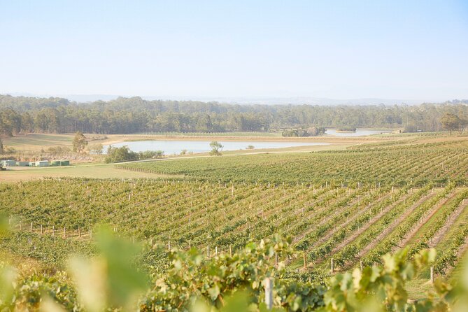 Small Group Hunter Valley Wine Tour w Lunch, Gin, Cheese & Choc - Wine tastings at the wineries: not just sips, but context