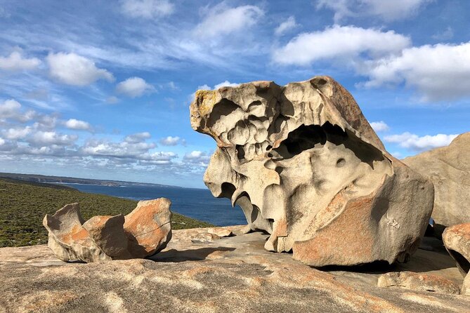 Small Group Kangaroo Island Tour - Best of KI - Weirs Cove and Snelling Beach for the quieter wildlife moments