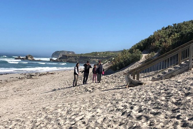 Small Group Kangaroo Island Tour - Seal Bay - The value of a Kangaroo Island 4WD wildlife day