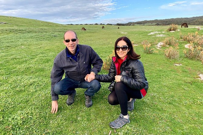 Small Group Kangaroo Island Tour - Seal Bay - Price check: what $286.90 includes and why it can be fair