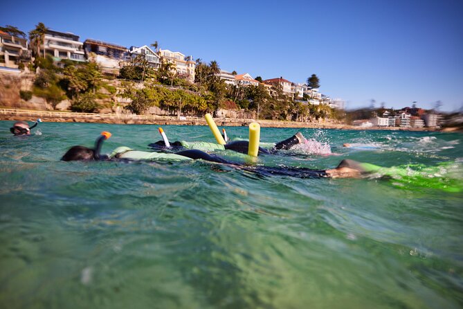 Small Group Manly Snorkel Tour and Nature Walk with Local Guide - Stop sequence: Shelly Beach, Manly Beach, and Ecotreasures