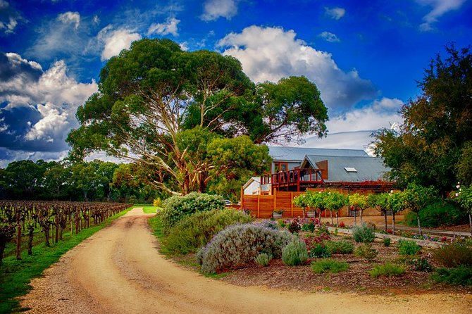 Small-Group River Murray Dark Sky and Sunset Tour with Dinner - Aboriginal dreaming stories after sunset: learn with respect