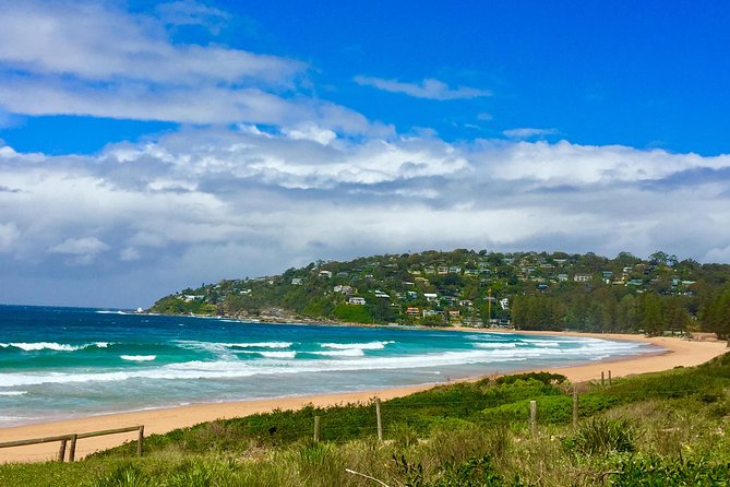 Small-Group Sydney's Northern Beaches & Ku-ring-gai Park Tour - Ku-ring-gai Chase National Park: Aboriginal caves, rock engravings, and wildlife time