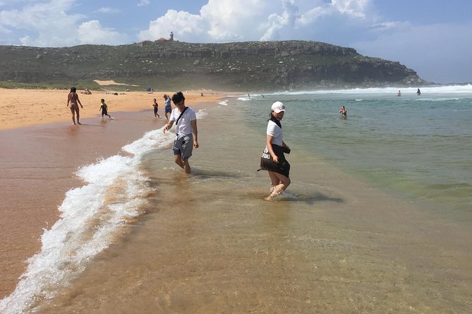 Small-Group Sydney's Northern Beaches & Ku-ring-gai Park Tour - Palm Beach and Home and Away locations, plus a posh beach view