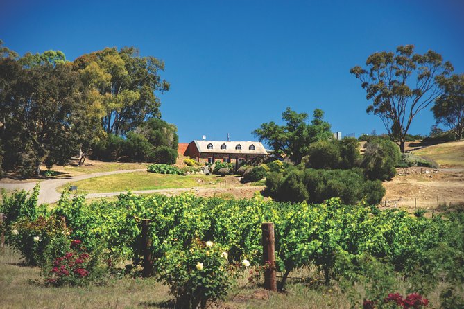 Small Tour Barossa Valley Voyager Tour from Adelaide - Stop 4 at Seabrook Wines: A Settlers’ Cottage With a Relaxed Deck Tasting