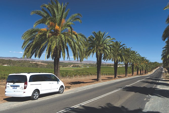 Small Tour Barossa Valley Voyager Tour from Adelaide - What You’ll Typically Taste: Shiraz, Riesling, Grenache, Cabernet and More