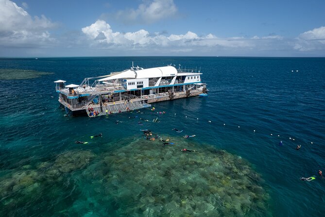 Snorkel & Dive the Reef: Sustainable, Scientific & Cultural Tour - Key highlights at a glance