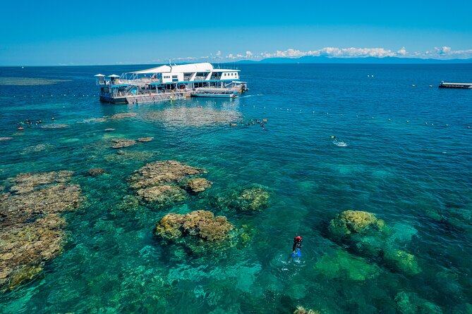 Snorkel & Dive the Reef: Sustainable, Scientific & Cultural Tour - Why the fast catamaran matters for reef time