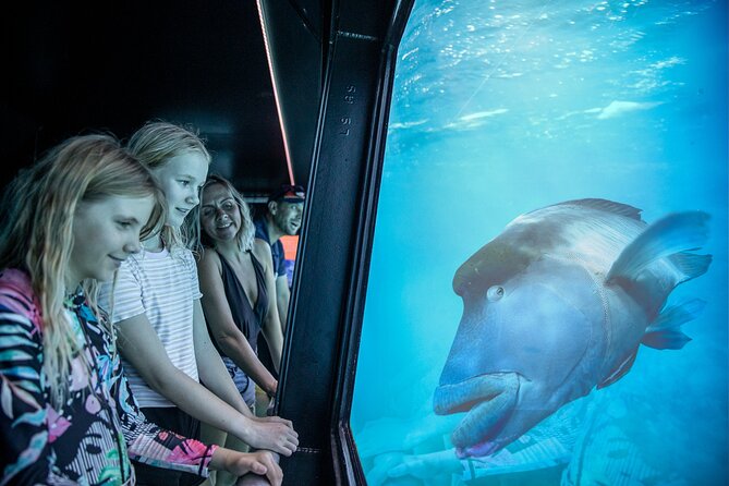 Snorkel & Dive the Reef: Sustainable, Scientific & Cultural Tour - Seasickness, rough water, and how the crew handles it