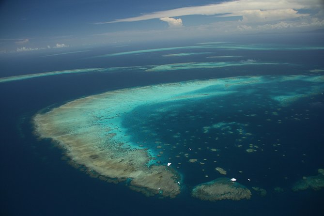 Snorkel & Dive the Reef: Sustainable, Scientific & Cultural Tour - Extras, upsells, and what not to get talked into