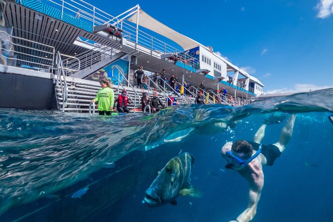 Snorkel & Dive the Reef: Sustainable, Scientific & Cultural Tour - Marine World platform: where the day really happens