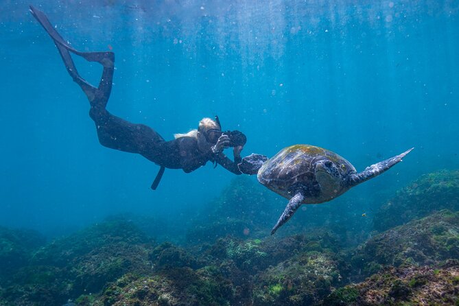 Snorkel with Turtles Gold Coast - Chinderah Bay Dr start, then out toward Turtle Island