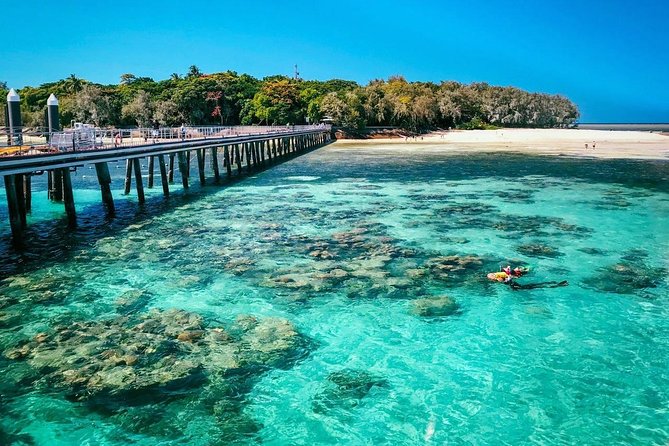 Snorkelling and Glass Bottom Boat at Green Island from Cairns - Key things to know before you go