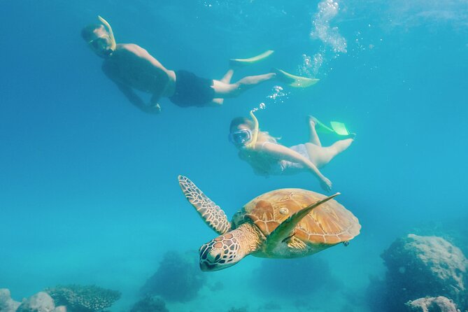 Snorkelling and Glass Bottom Boat at Green Island from Cairns - Price and value, what you’re really paying for
