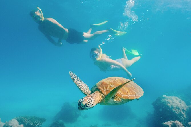 Snorkelling or Glass Bottom Boat at Green Island from Cairns - Key Highlights You Should Know Before You Go