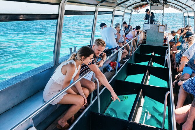 Snorkelling or Glass Bottom Boat at Green Island from Cairns - The Fast Catamaran From Cairns, and Why Timing Matters