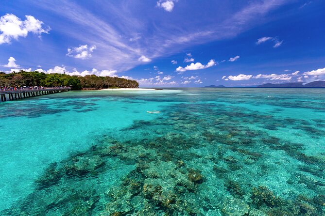 Snorkelling or Glass Bottom Boat at Green Island from Cairns - Who This Trip Suits Best (and Who Should Rethink It)