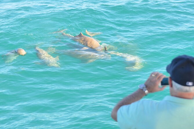 Snubfin Dolphin Eco Cruise from Broome - Who should book this cruise from Broome