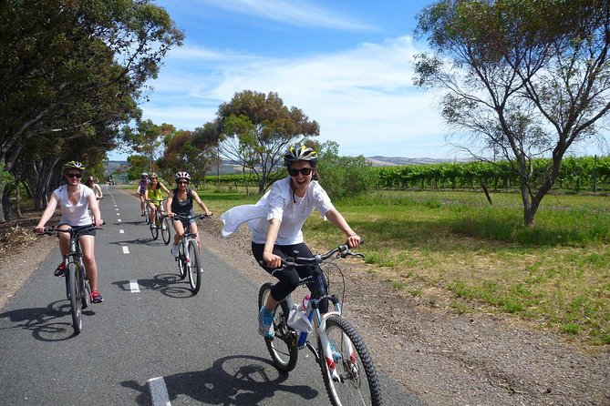 Southern Barossa: 10-Minute Helicopter Flight - Price and value: $89.66 for 10 minutes that counts