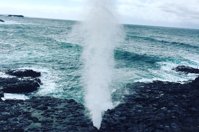 Southern Highlands & South Coast Private Tour From Sydney - Little Blowhole Reserve (Endeavour Lookout) for extra spray chances