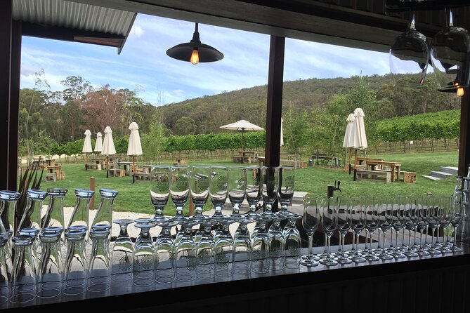 Southern Highlands & South Coast Private Tour From Sydney - Lake Illawarra and Illawarra Fly Treetop Adventure time