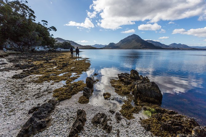 Southwest Tasmania Wilderness Experience: Fly Cruise and Walk Including Lunch - The bush walk: your chance to touch the Southwest on foot